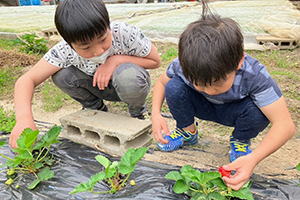 障がい支援事業写真